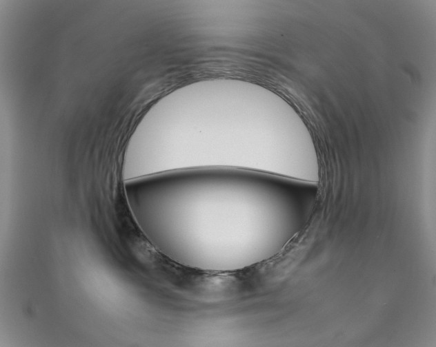 X0000111350333200907100940