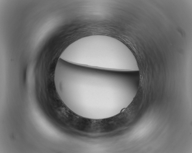 X0000111350335200907100940