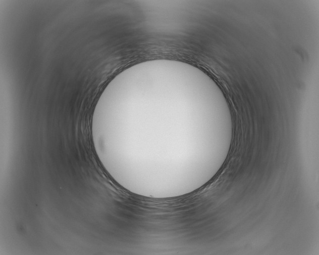 X0000111350336200907100940