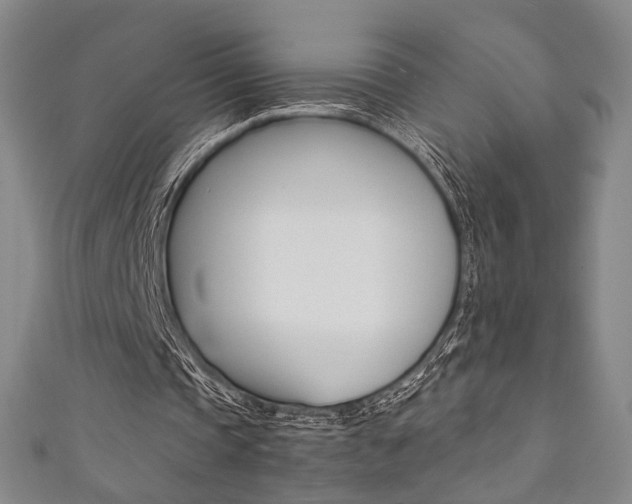 X0000111350337200907100939