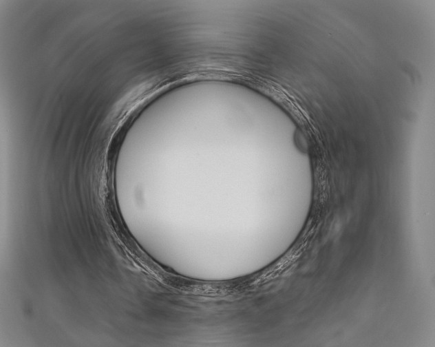 X0000111350338200907100939