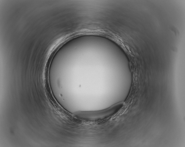 X0000111350340200907100939