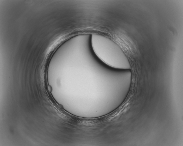 X0000111350341200907100939