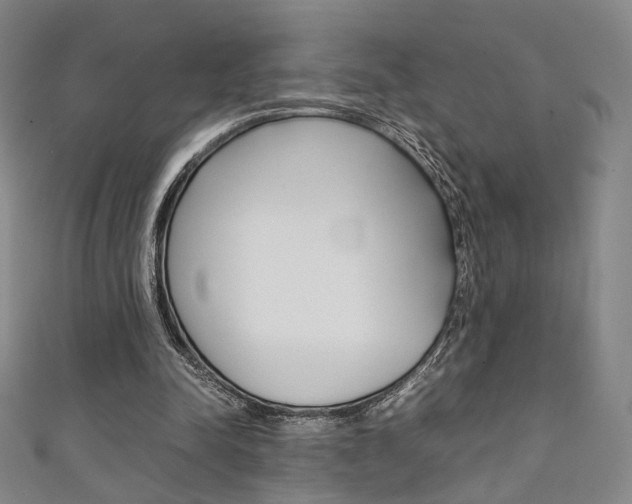 X0000111350342200907100939