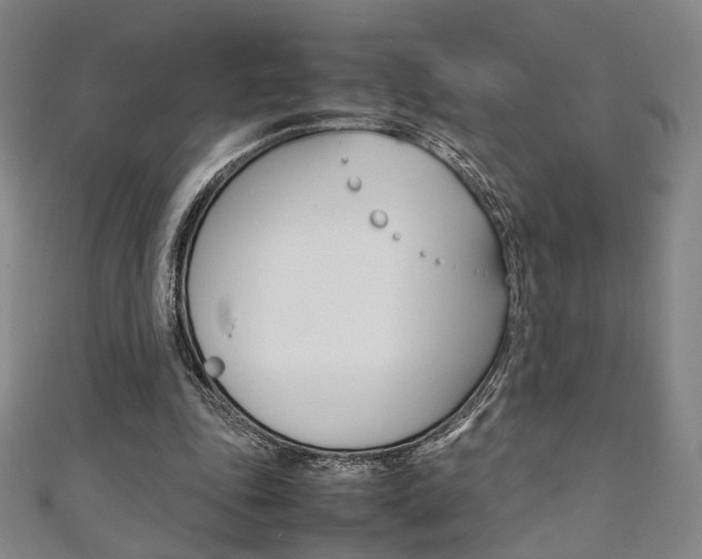 X0000111350343200907100939