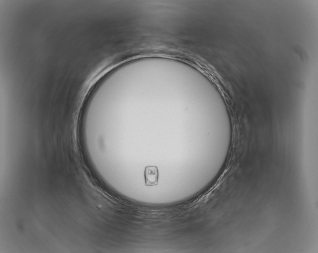 X0000111350344200907100939