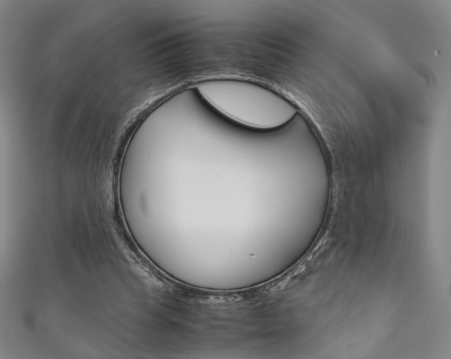 X0000111350345200907100939
