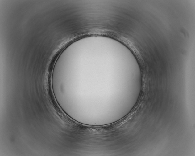X0000111350346200907100939