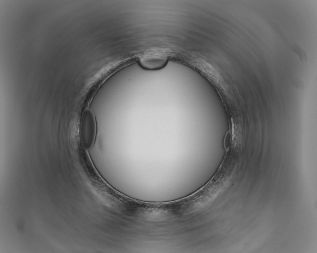 X0000111350348200907100939