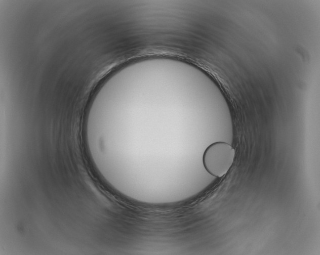 X0000111350352200907100939