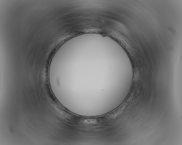 X0000111350353200907100939