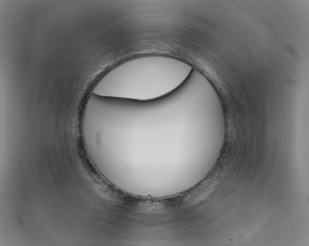 X0000111350354200907100939