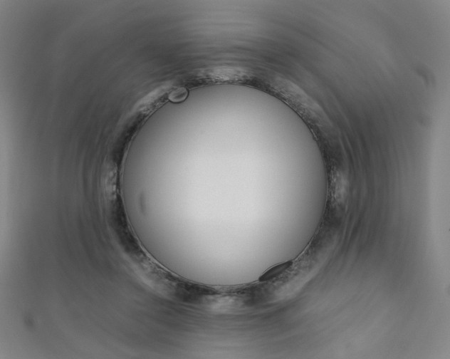 X0000111350356200907100939