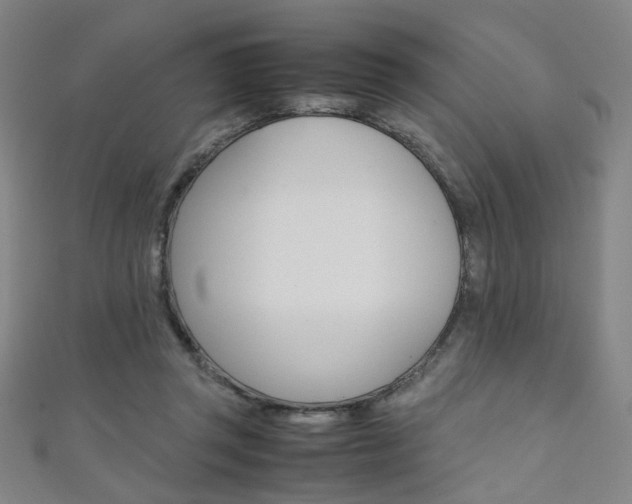 X0000111350357200907100940