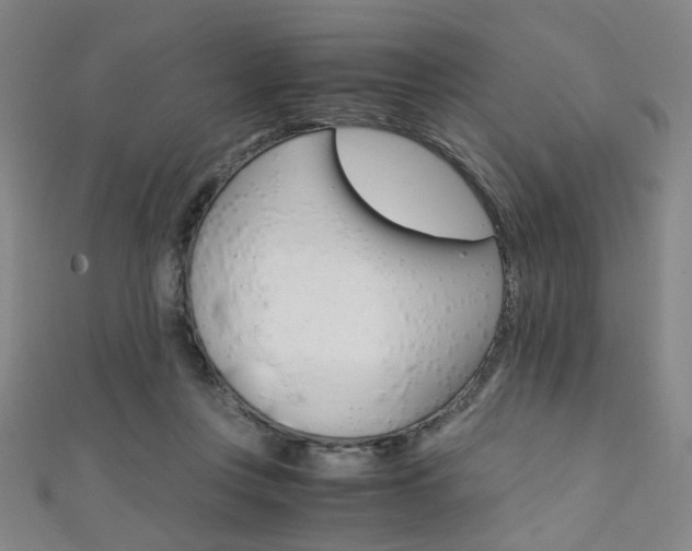 X0000111350359200907100940