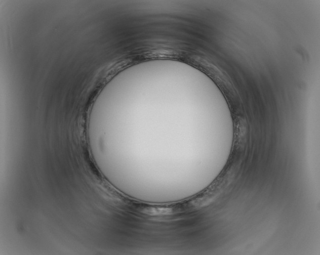 X0000111350361200907100940