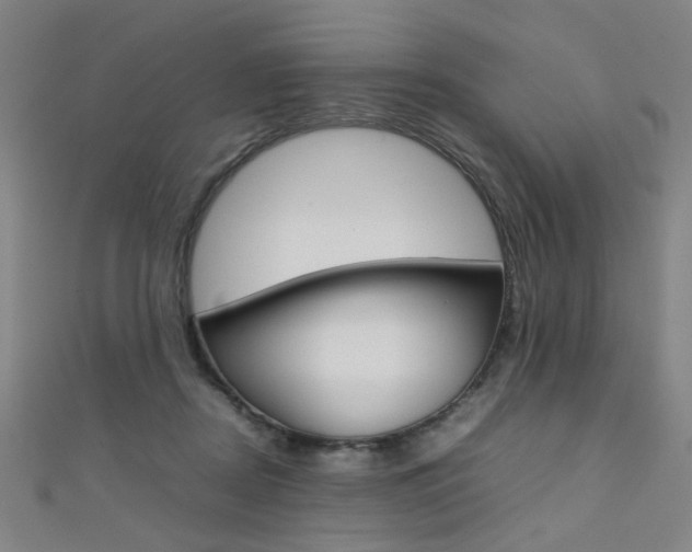 X0000111350362200907100940