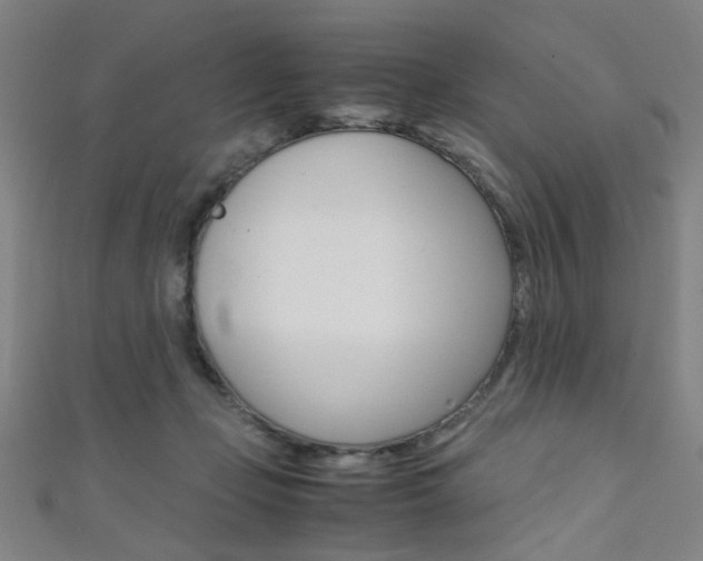 X0000111350365200907100940