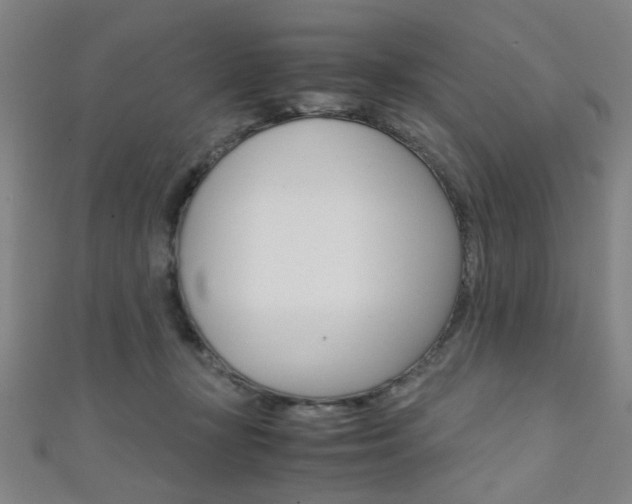 X0000111350367200907100940