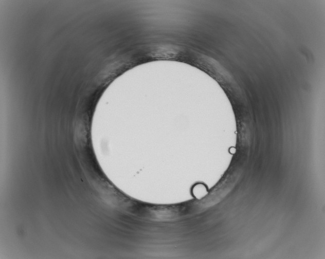 X0000111350370200907100940