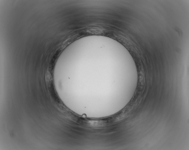 X0000111350371200907100940
