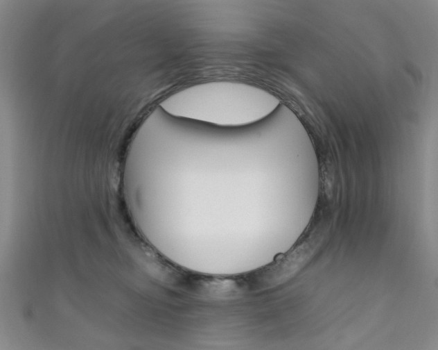 X0000111350374200907100940