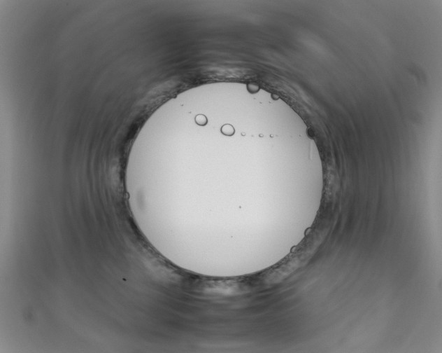 X0000111350377200907100940