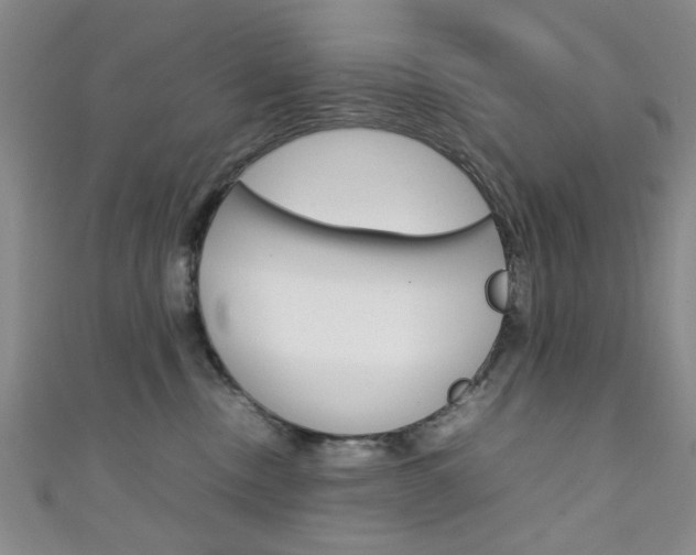 X0000111350378200907100940