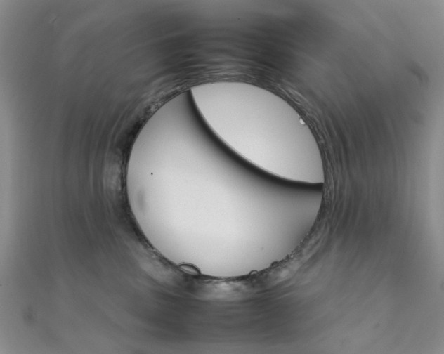 X0000111350379200907100940