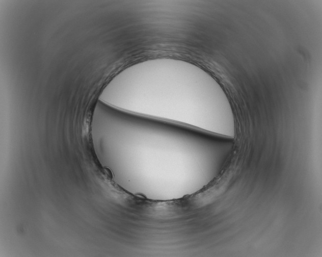 X0000111350382200907100940