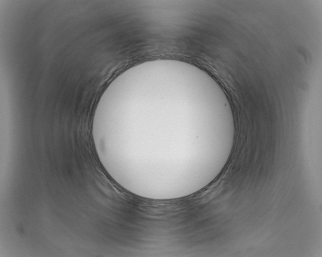 X0000111350384200907100940
