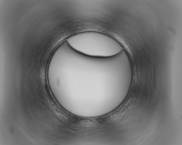 X0000111350386200907100939