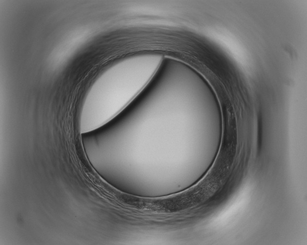 X0000111350387200907100939