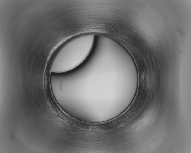X0000111350388200907100939