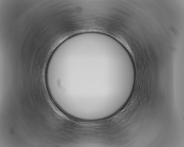 X0000111350389200907100939