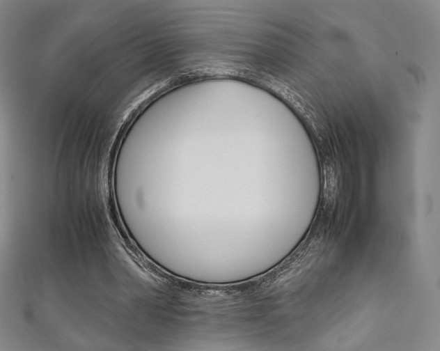 X0000111350390200907100939
