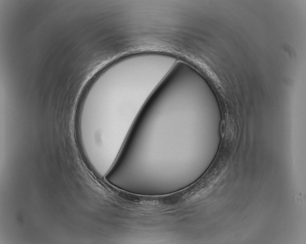 X0000111350391200907100939