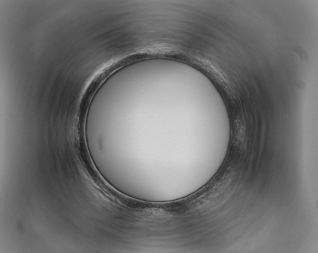 X0000111350392200907100939