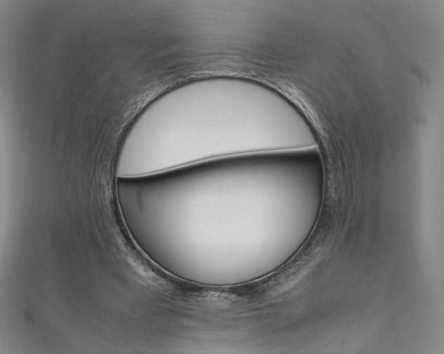 X0000111350393200907100939