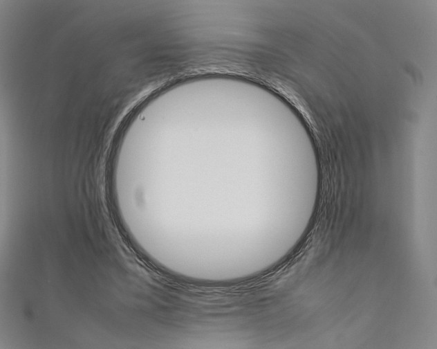 X0000111350395200907100939