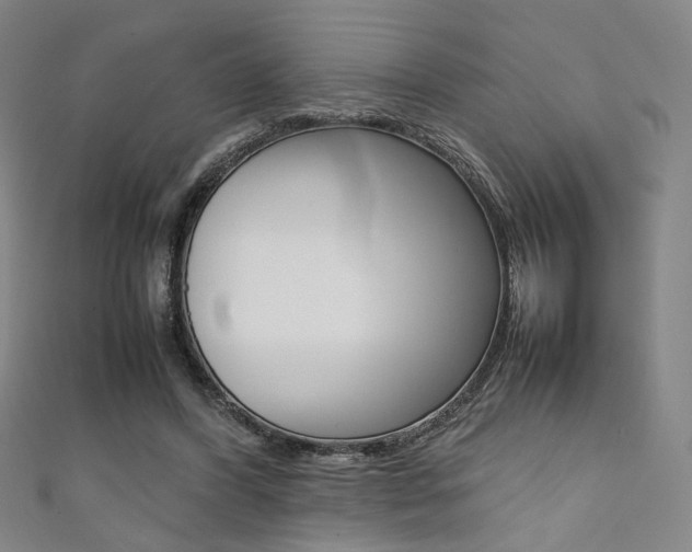 X0000111350396200907100939