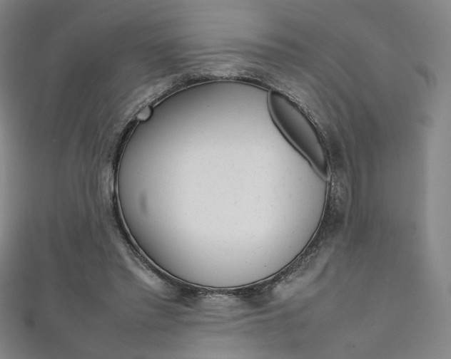 X0000111350397200907100939