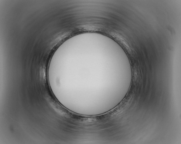 X0000111350398200907100939