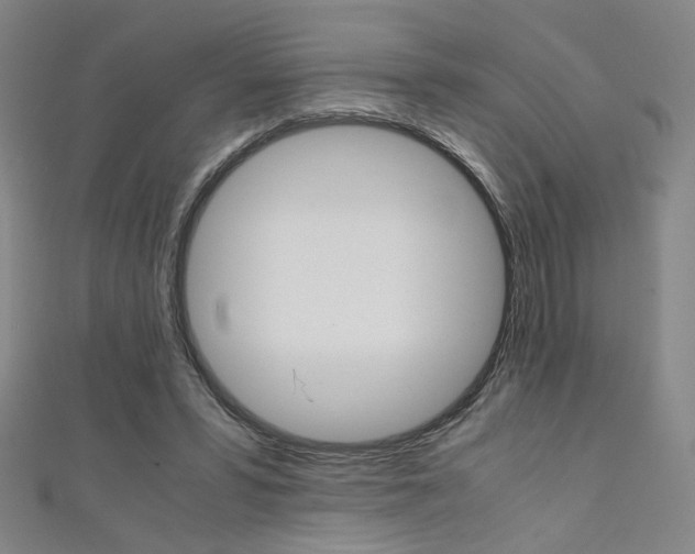 X0000111350399200907100939