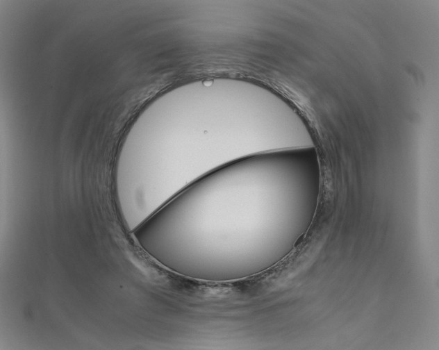 X0000111350401200907100939