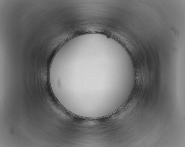 X0000111350402200907100939