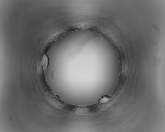 X0000111350403200907100939