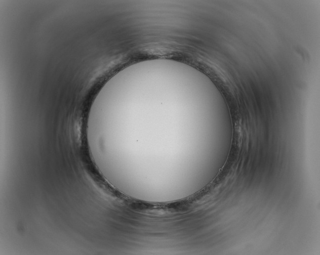 X0000111350404200907100939