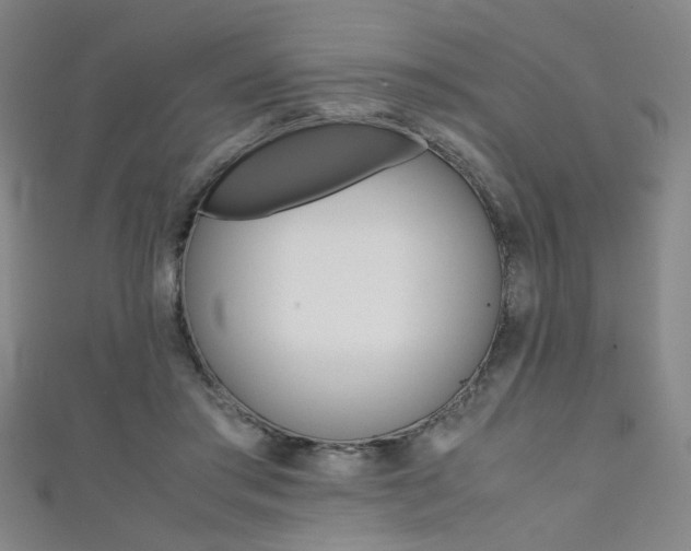 X0000111350405200907100939