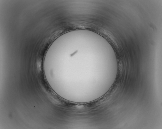 X0000111350406200907100939